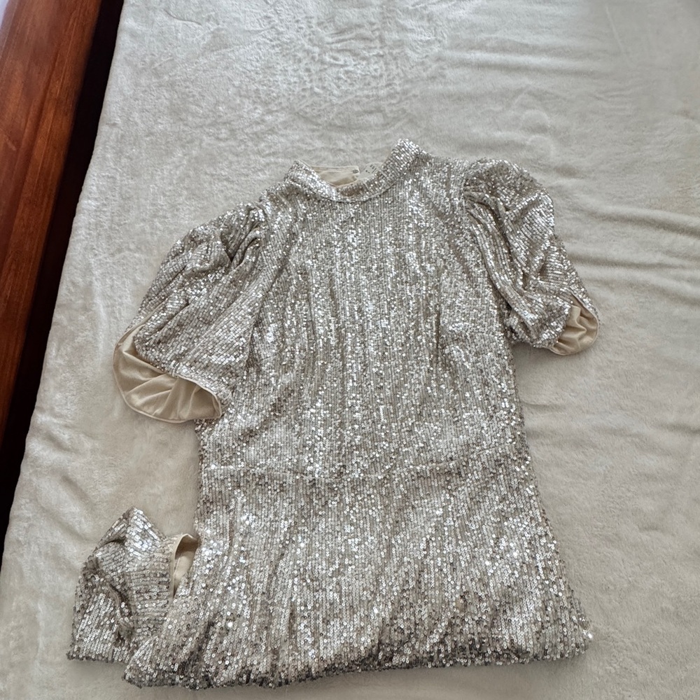 H&M Silver Sequin Dress - Picture 3 of 5